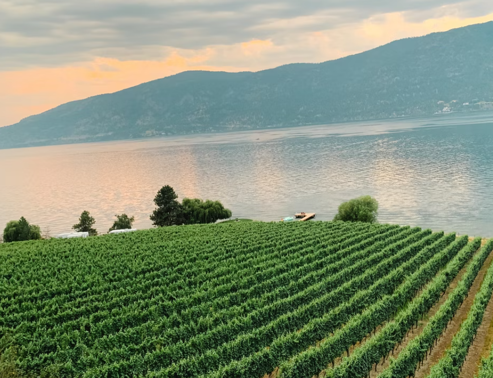 奧墾娜根葡萄酒與生態自然 探索之旅